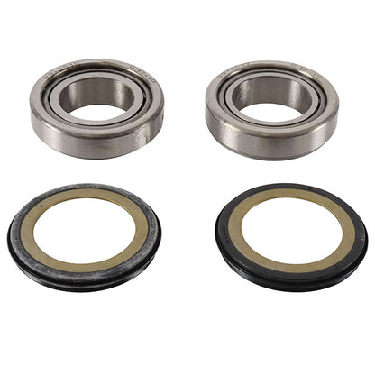 PIVOT WORKS STEERING STEM BEARING KIT (PWSSK-H23-000)