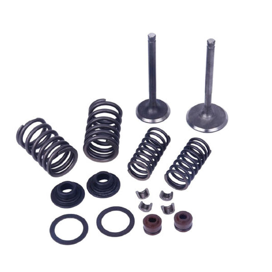 MOGO PARTS VALVE KIT, H-50CC (61-0200)