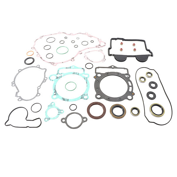 VERTEX GASKET SET & OIL SEALS (811365)