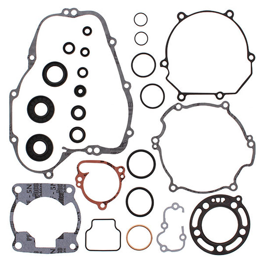 VERTEX GASKET SET & OIL SEALS (811418)