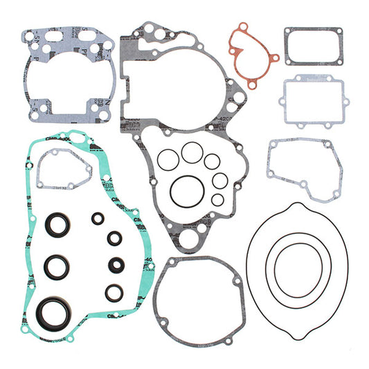 VERTEX GASKET SET & OIL SEALS (811587)