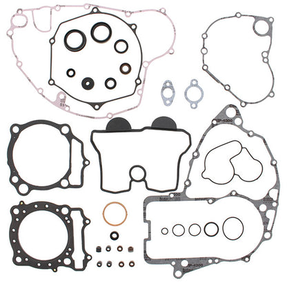 VERTEX GASKET SET & OIL SEALS (811590)