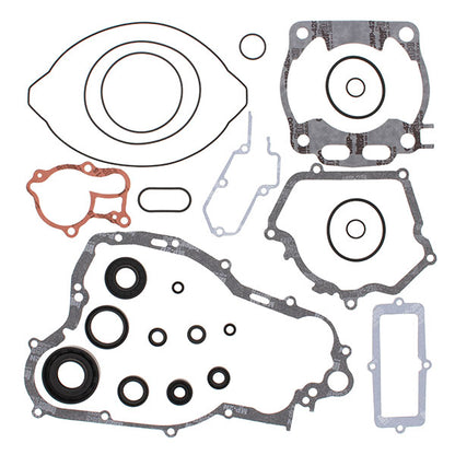 VERTEX GASKET SET & OIL SEALS (811669)