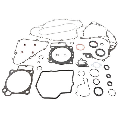 VERTEX GASKET SET & OIL SEALS (811989)