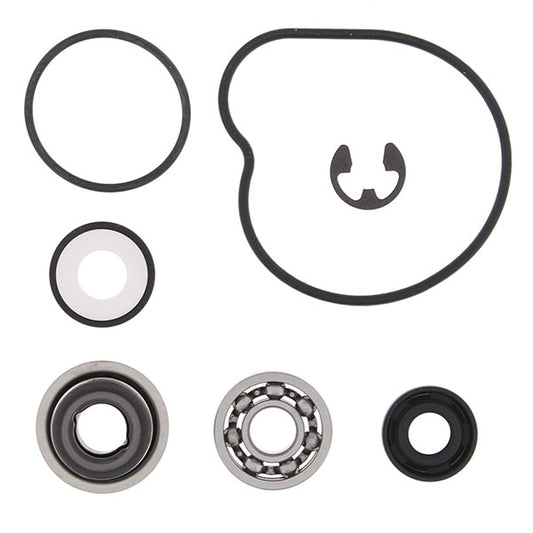 VERTEX WATER PUMP REBUILD KIT (821928)