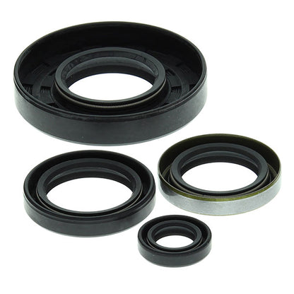 VERTEX ENGINE OIL SEAL KIT (822169)