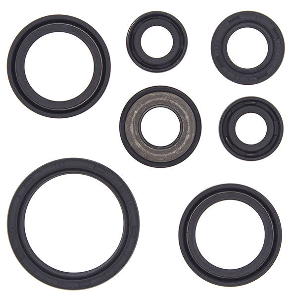 VERTEX ENGINE OIL SEAL KIT (822232)