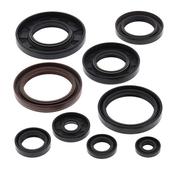 VERTEX ENGINE OIL SEAL KIT (822233)