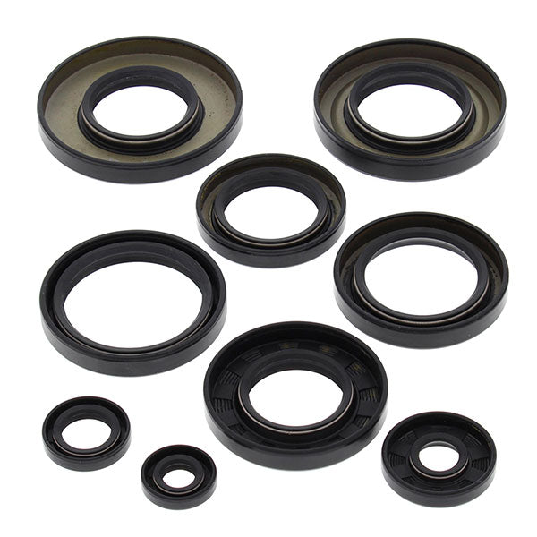 VERTEX ENGINE OIL SEAL KIT (822247)