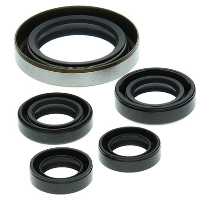 VERTEX ENGINE OIL SEAL KIT (822249)