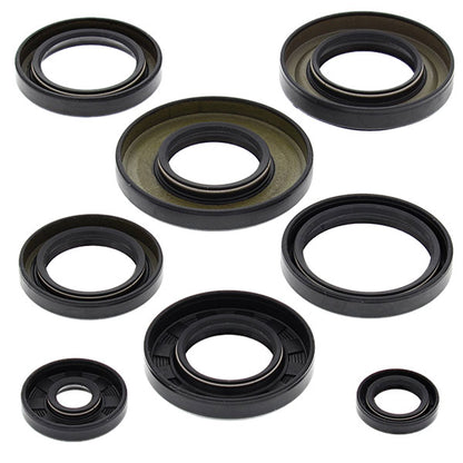 VERTEX ENGINE OIL SEAL KIT (822253)