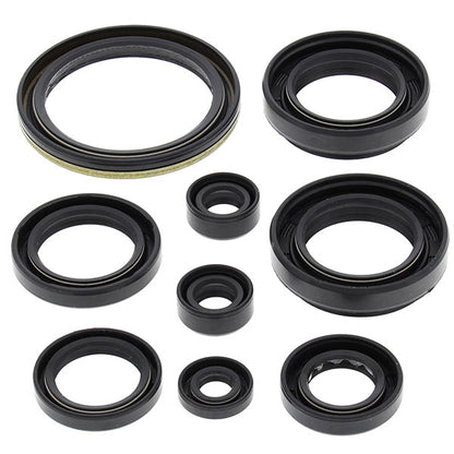 VERTEX ENGINE OIL SEAL KIT (822259)