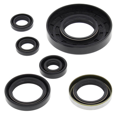 VERTEX ENGINE OIL SEAL KIT (822262)