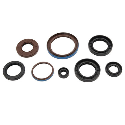 VERTEX ENGINE OIL SEAL KIT (822381)