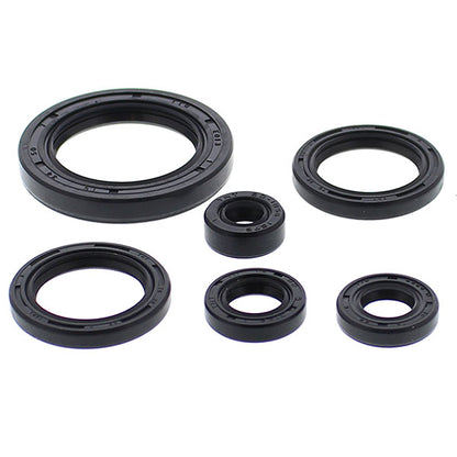 VERTEX ENGINE OIL SEAL KIT (822978)