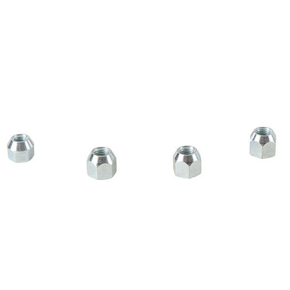 ALL BALLS WHEEL NUT KIT (85-1244)