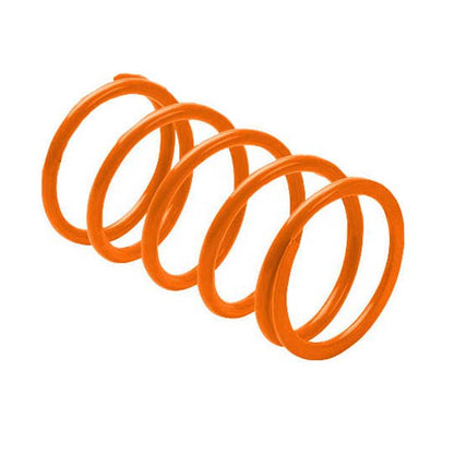 EPI SECONDARDY DRIVEN CLUTCH SPRING