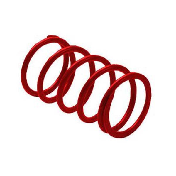 EPI SECONDARDY DRIVEN CLUTCH SPRING